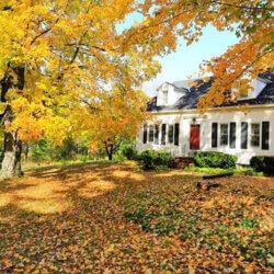 DIY Fall HVAC Maintenance Tasks You Can Do Now