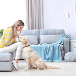 Furnace Maintenance for Pet Owners: Keep Your System Fur-Free