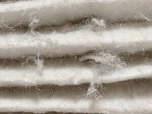 Furnace Maintenance for Pet Owners