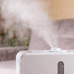 Why Humidity Matters in Winter: Solutions for Dry Air in Winter