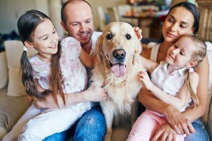 HVAC Tips & Tricks for Pet Owners
