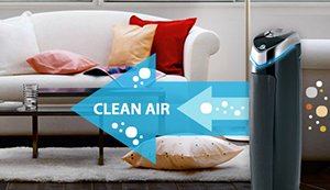 Choose the Best Air Purifiers for Allergies