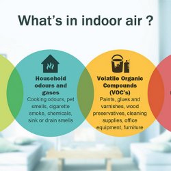 Are Indoor Air Contaminants a Problem in Your Home?