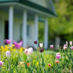 Best Spring HVAC Maintenance Tips