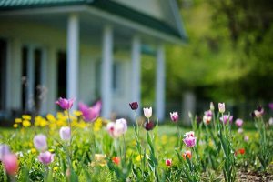 Spring HVAC Maintenance Tips