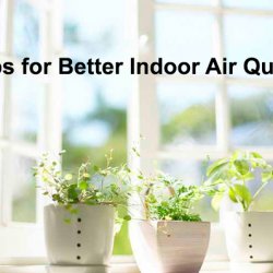 Five Steps to Better Indoor Air Quality