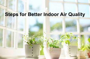 Steps to Better Indoor Air Quality