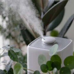 Can You Benefit from a Whole Home Humidifier?