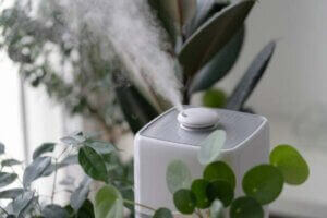 Can You Benefit from a Whole Home Humidifier?