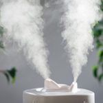 Reduce Cold and Flu Symptoms with Humidifiers