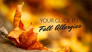 Combat Fall Allergies with HVAC Tips