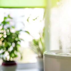 Do I Need a Whole House Humidifier for my St. Louis Home?
