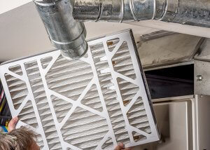 What are the Best Air Filters for Allergies