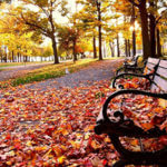 Fall HVAC Maintenance: What to Expect