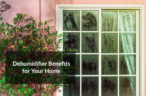 Home Dehumidifier Benefits
