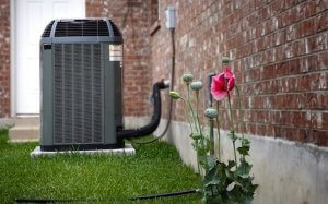 Home Maintenance Checklist for Spring