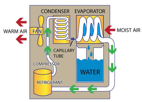 How Do Dehumidifiers Work