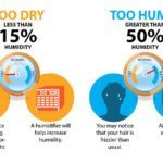 Humidity Levels 101: What is the Best Humidity Level for Your Home