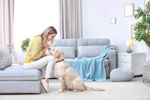Tips for HVAC Maintenance for Pet Owners
