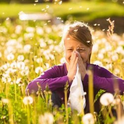 HVAC Tips for Keeping Seasonal Allergies at Bay