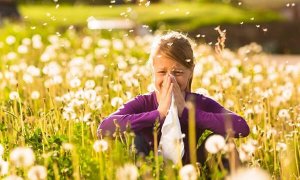 HVAC Tips for Keeping Seasonal Allergies at Bay