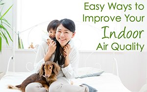 Indoor Air Quality HVAC Upgrades