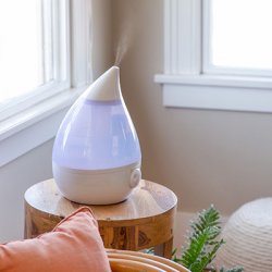 Understanding the Importance of Humidification in Your Home