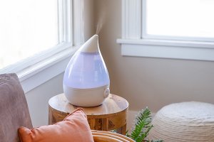 Understanding the Importance of Humidification in Your Home