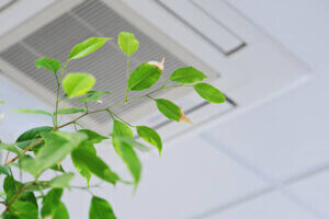 How to Improve Indoor Air Quality in Springtime