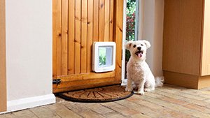 HVAC Energy Efficiency & Your Pet Door