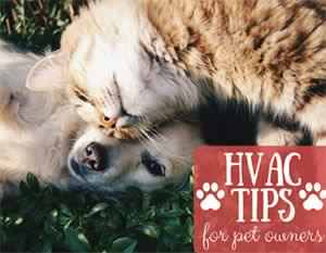 Indoor Air Quality Tips for Pet Owners