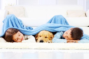 Pets & HVAC System Tips