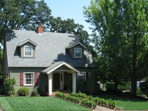 Planting Trees to Shade Your Home Can Translate to HVAC Savings