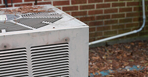 Tips to Prevent Pests in Your HVAC System