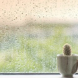 How Rainfall Can Affect Indoor Air Quality