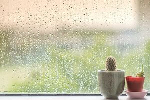 How Rainfall Can Affect Indoor Air Quality