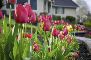 Setting Your Smart Thermostat for Spring