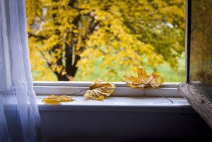 Should I Open the Windows in Late Summer and Early Fall?