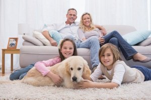 Best Indoor Air Quality Systems for Your Home