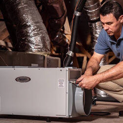 Whole Home Dehumidifier vs. Portable Dehumidifier: Which Do You Need?