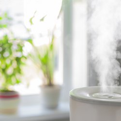 Whole Home Humidifier FAQs: Everything You Need to Know About Humidifiers