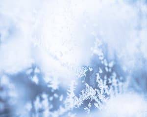 HVAC Unit Frozen | St. Louis HVAC Tips