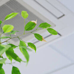 Why You Should Care About Indoor Air Quality at Home